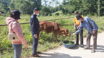 Cán bộ làm đối ngoại được bồi dưỡng kỹ năng vận động viện trợ phi chính phủ nước ngoài