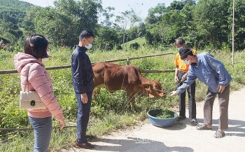 Cán bộ làm đối ngoại được bồi dưỡng kỹ năng vận động viện trợ phi chính phủ nước ngoài