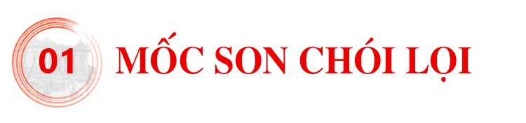 Sức bật từ mùa thu Cách mạng