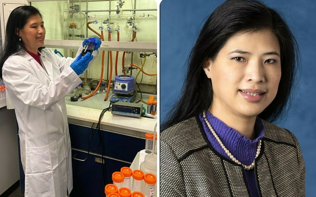 GS Nguyễn Thị Kim Thanh (Ảnh: RSC).
