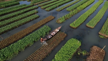 Kỹ thuật cổ xưa giúp Bangladesh ứng phó với biến đổi khí hậu