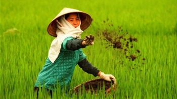 rac huu co phe phu pham thanh tai nguyen