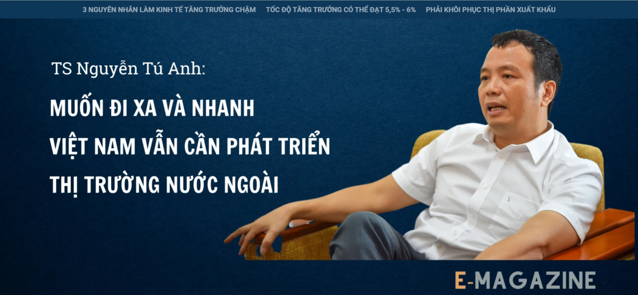 TS Nguyễn Tú Anh: Muốn đi xa và nhanh Việt Nam vẫn cần phát triển thị trường nước ngoài