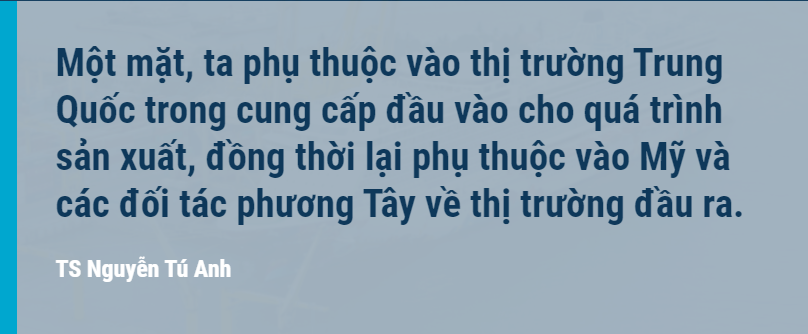 TS Nguyễn Tú Anh: Muốn đi xa và nhanh Việt Nam vẫn cần phát triển thị trường nước ngoài