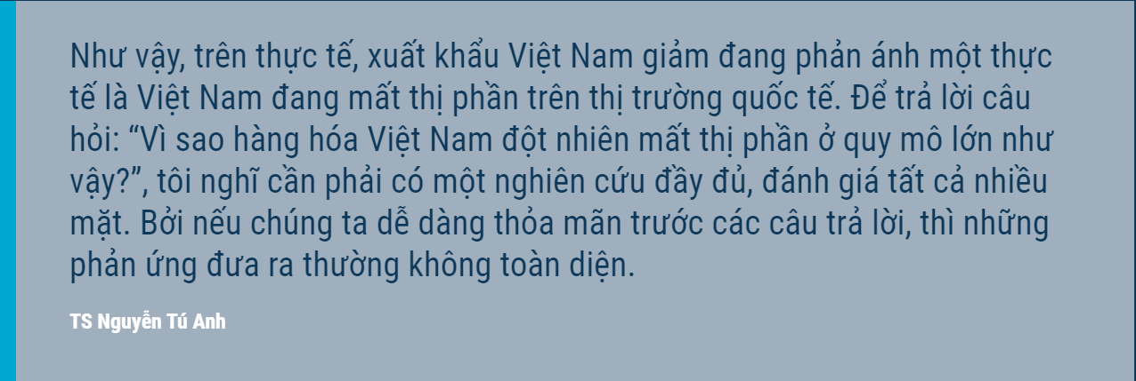 TS Nguyễn Tú Anh: Muốn đi xa và nhanh Việt Nam vẫn cần phát triển thị trường nước ngoài