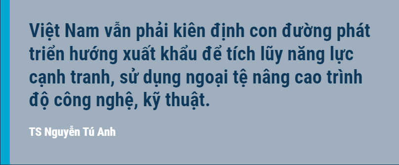 TS Nguyễn Tú Anh: Muốn đi xa và nhanh Việt Nam vẫn cần phát triển thị trường nước ngoài