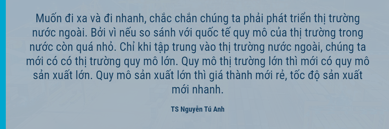 TS Nguyễn Tú Anh: Muốn đi xa và nhanh Việt Nam vẫn cần phát triển thị trường nước ngoài