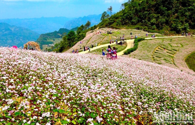 Đón tết Độc Lập cùng người H’Mông ở thượng nguồn sông Chảy