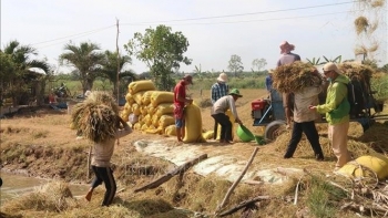 Những mô hình sinh kế thông minh thích ứng với biến đổi khí hậu