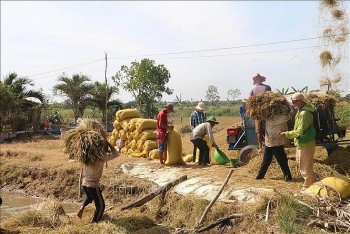 Những mô hình sinh kế thông minh thích ứng với biến đổi khí hậu