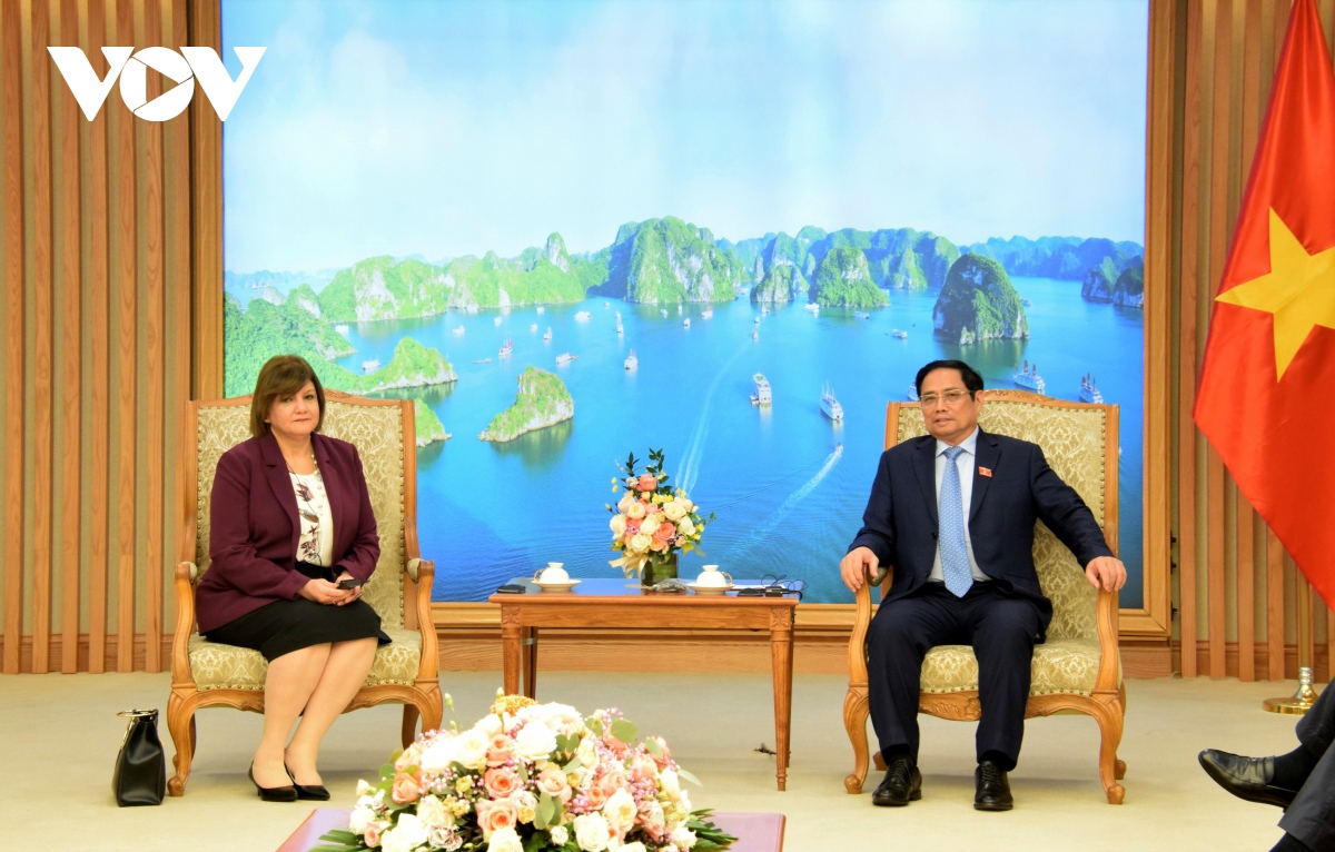 tron 60 nam quan he viet nam- ai cap muc tieu thuong mai 1 ti usd trong tam tay hinh anh 1