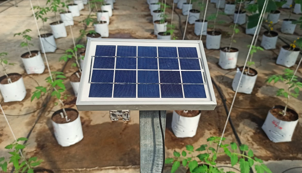 Doanh nghiệp Israel chia sẻ các giải pháp công nghệ trong lĩnh vực nông nghiệp cho tỉnh Gia Lai