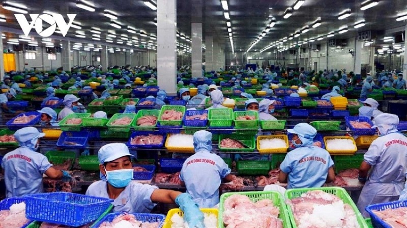 Tròn 60 năm quan hệ Việt Nam- Ai Cập: Mục tiêu thương mại 1 tỉ USD trong tầm tay