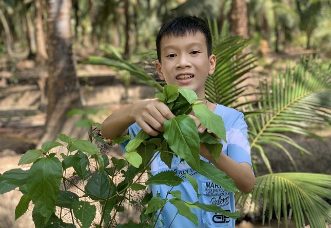 Học sinh Việt Nam giành giải ba cuộc thi viết thư UPU quốc tế