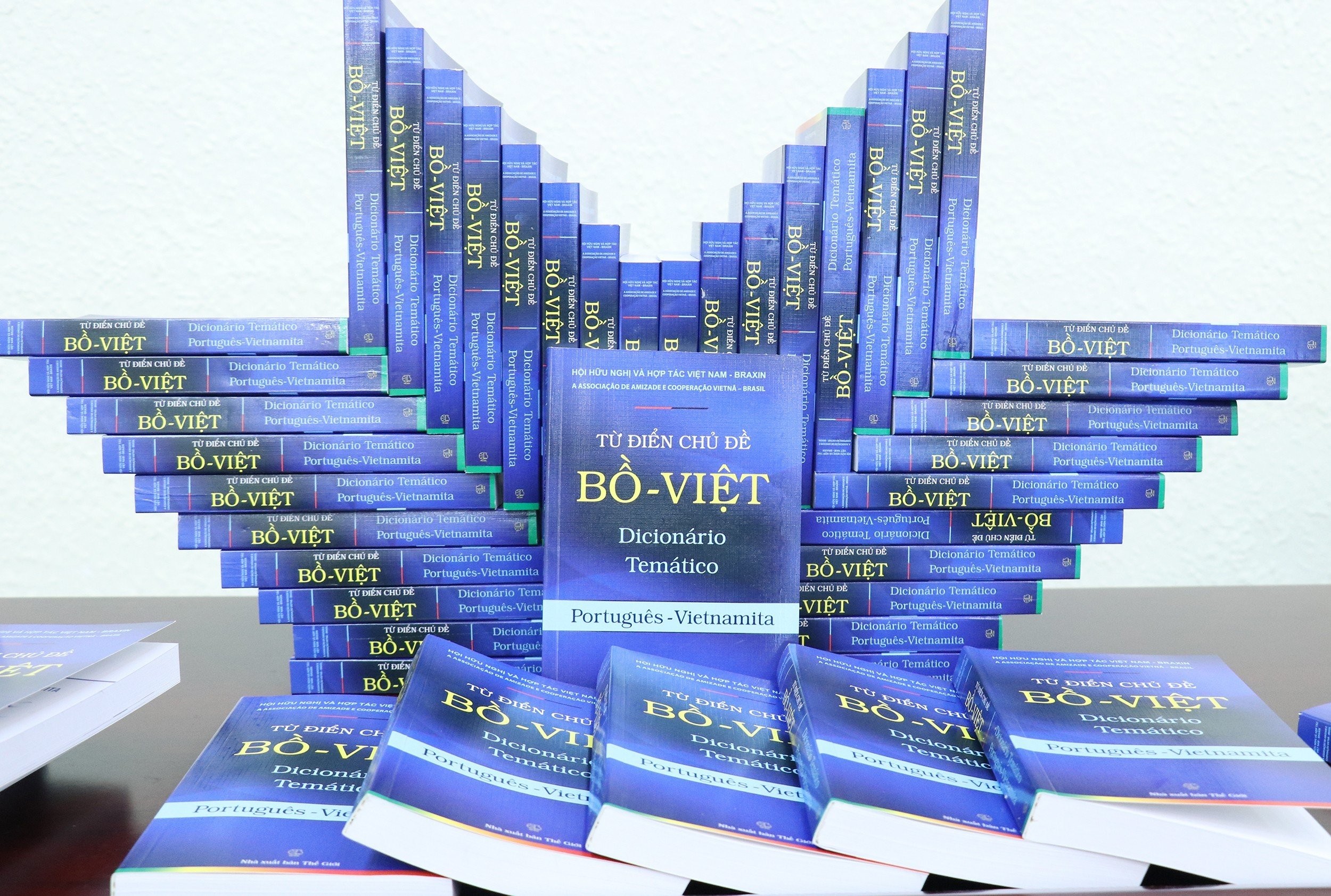 Từ điển chủ đề Bồ - Việt do Hội hữu nghị và hợp tác Việt Nam - Brazil chủ trì xây dựng (Ảnh: Thu Hà).
