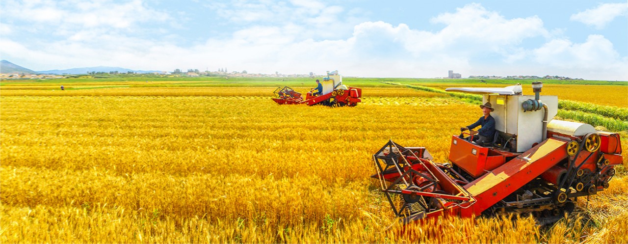 Một Triều Tiên phát triển và đổi mới Một Triều Tiên phát triển và đổi mới