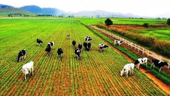 Quan hệ hợp tác Lào - Việt đang ở mức cao chưa từng có trong lịch sử