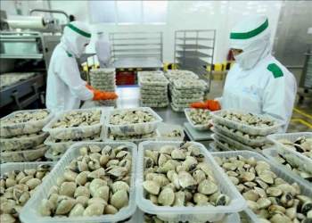 Việt Nam - thị trường hấp dẫn đối với các doanh nghiệp Anh