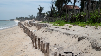 do cat nuoi bai hy sinh giai phap can co chong xoi lo bo bien hoi an