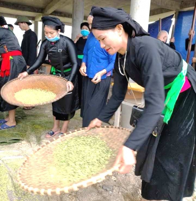 Sắc thu Hương cốm Tây Bắc
