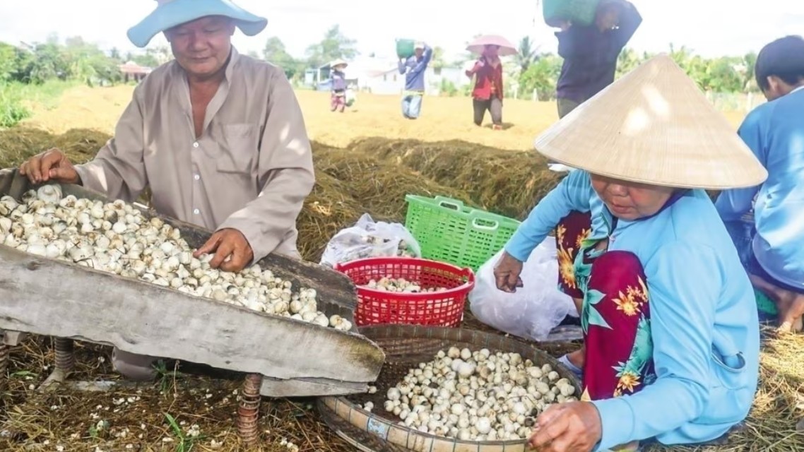 nong nghiep tuan hoan giai phap tang truong xanh ben vung