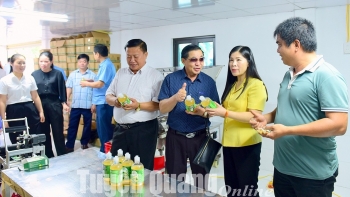 Tuyên Quang và Xiêng Khoảng chia sẻ kinh nghiệm sản xuất nông nghiệp công nghệ cao