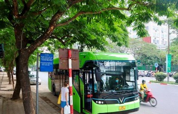 lo trinh cac tuyen xe buyt nam 2024