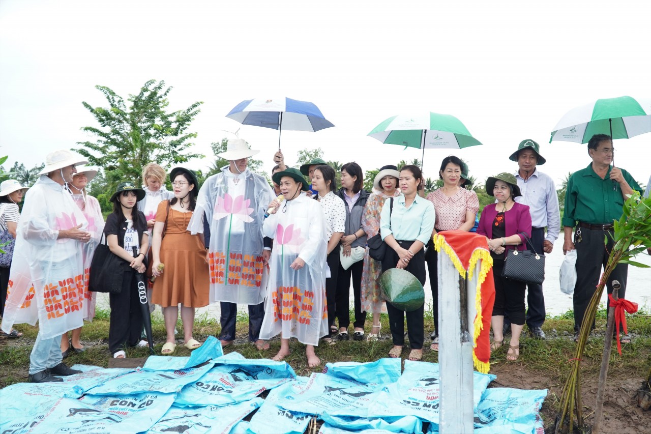 Tổng Lãnh sự Hà Lan tại TP HCM trồng cây chống xói lở bờ sông tại Cần Thơ