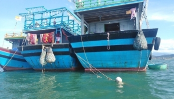 Tàu cá thu gom rác thải nhựa: Mô hình thúc đẩy nông nghiệp thân thiện môi trường