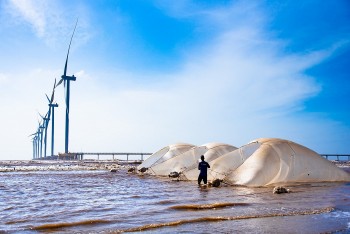 Những sáng kiến ứng phó với biến đổi khí hậu