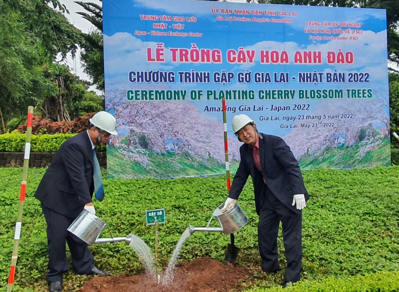 Thành lập Liên Hiệp Hội Phụ nữ người Việt toàn Liên bang Đức