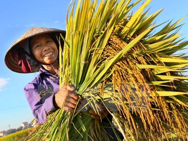 BfdW và Misereor: góp phần giảm trên 17 % tỷ lệ hộ nghèo xã Dân Chủ (Cao Bằng)