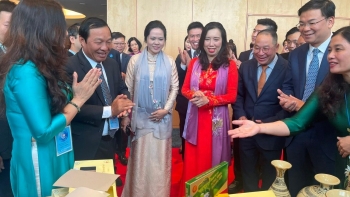 Kết nối doanh nghiệp, địa phương Việt Nam và Nhật Bản