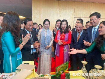 Kết nối doanh nghiệp, địa phương Việt Nam và Nhật Bản