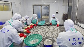 Nâng tầm tôm Việt - Cùng phát triển sản phẩm OCOP