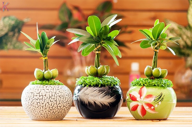 Quà tặng 20/10 dành cho sếp nữ dễ gây ấn tượng nhất
