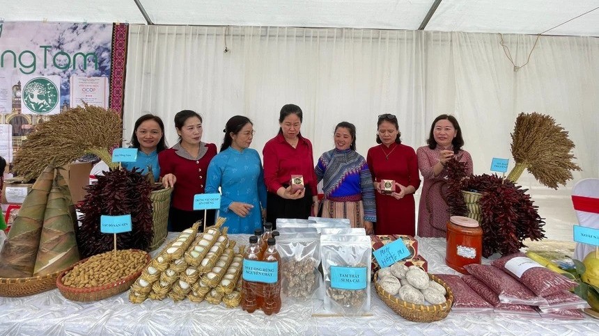Nhiều mô hình, tổ nhóm hỗ trợ sinh kế hòa nhập cộng đồng cho nạn nhân mua bán người