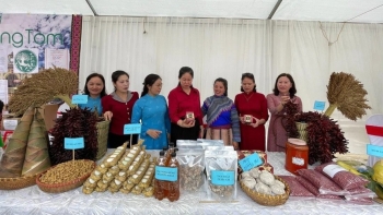 Nhiều mô hình, tổ nhóm hỗ trợ sinh kế hòa nhập cộng đồng cho nạn nhân mua bán người