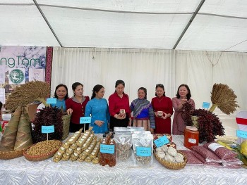 Nhiều mô hình, tổ nhóm hỗ trợ sinh kế hòa nhập cộng đồng cho nạn nhân mua bán người