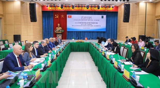 Hop tac ve dau khi la diem sang trong quan he kinh te Viet Nam-Algeria hinh anh 1