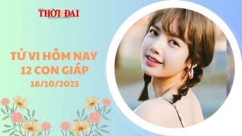 Tử vi hôm nay 12 con giáp 19/10/2023: Mùi tình duyên trợ mệnh, Hợi công việc lên hương