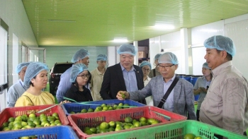 Long An muốn thu hút vốn đầu tư của Hàn Quốc vào lĩnh vực công nghệ cao