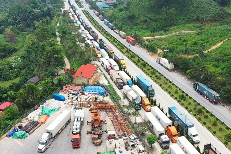 Xuất khẩu nông sản sang Trung Quốc: Yêu cầu chất lượng ngày càng cao 3