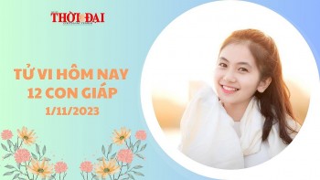 Tử vi hôm nay 12 con giáp 1/11/2023: Dần được quý nhân che chở