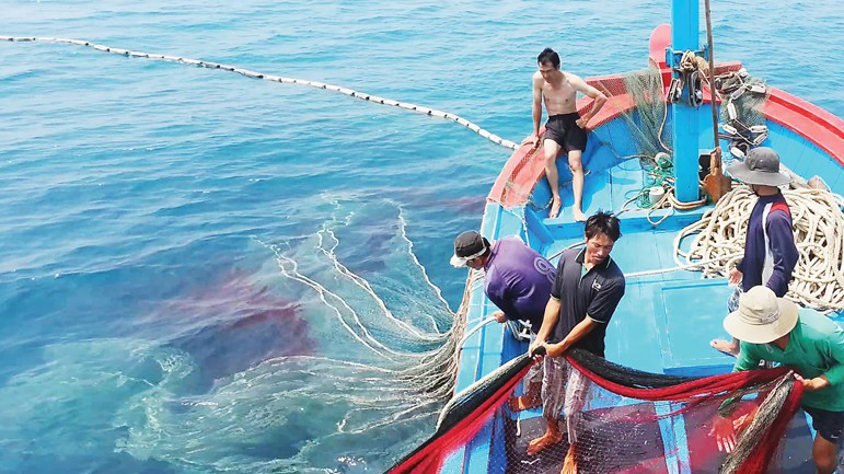 EC sẽ gỡ "thẻ vàng" IUU nếu Việt Nam chuyển biến tích cực trên thực địa 6 tháng tới