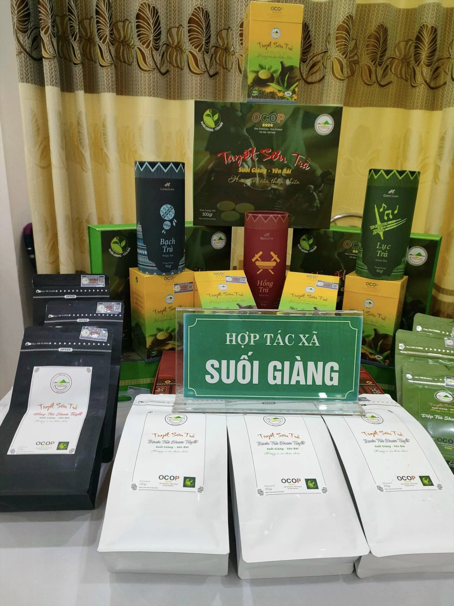 Sản phẩm trà Shan tuyết Suối Giàng Sản phẩm trà Shan tuyết Suối Giàng