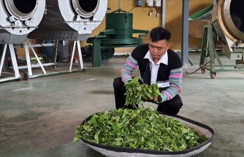 dac san che suoi giang vuon tam quoc te