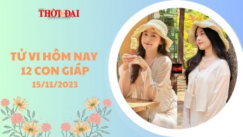 Tử vi hôm nay 12 con giáp 15/11/2023: Ty hao tài tốn của, đau đầu vì tiền bạc