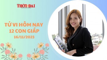 Tử vi hôm nay 12 con giáp 16/11/2023: Ngọ Tài tinh chiếu mệnh may mắn nhân đôi