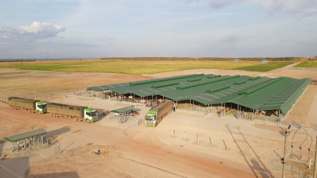 Đánh thức "tiềm năng" logistics giữa Việt Nam - Campuchia